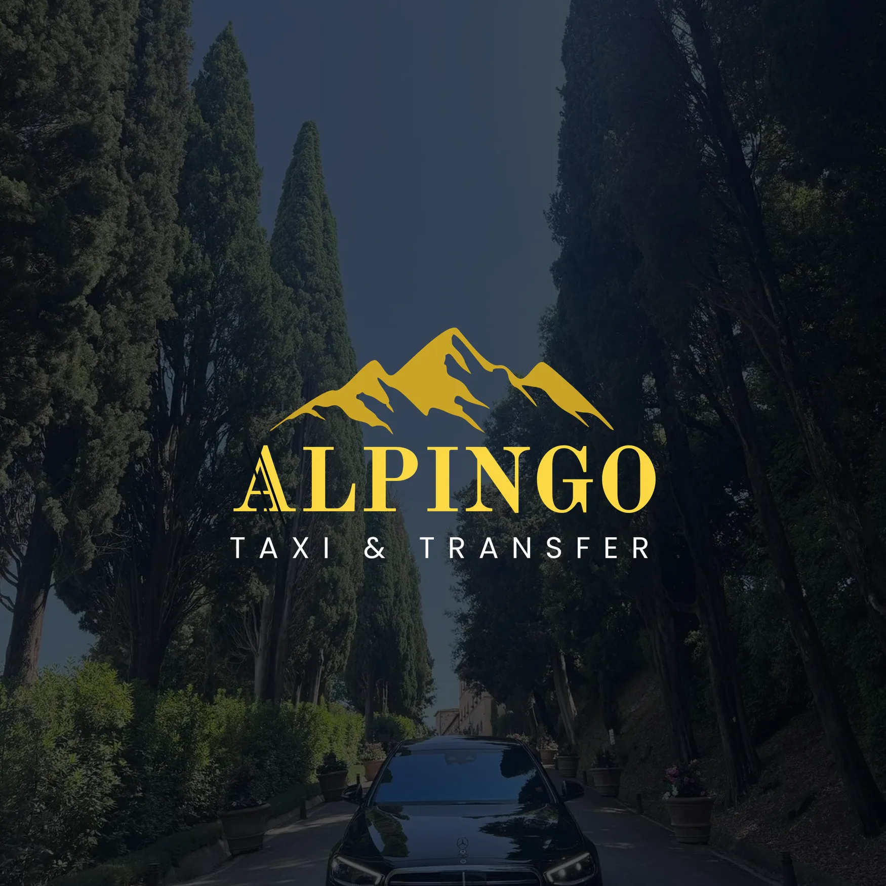 AlpinGo